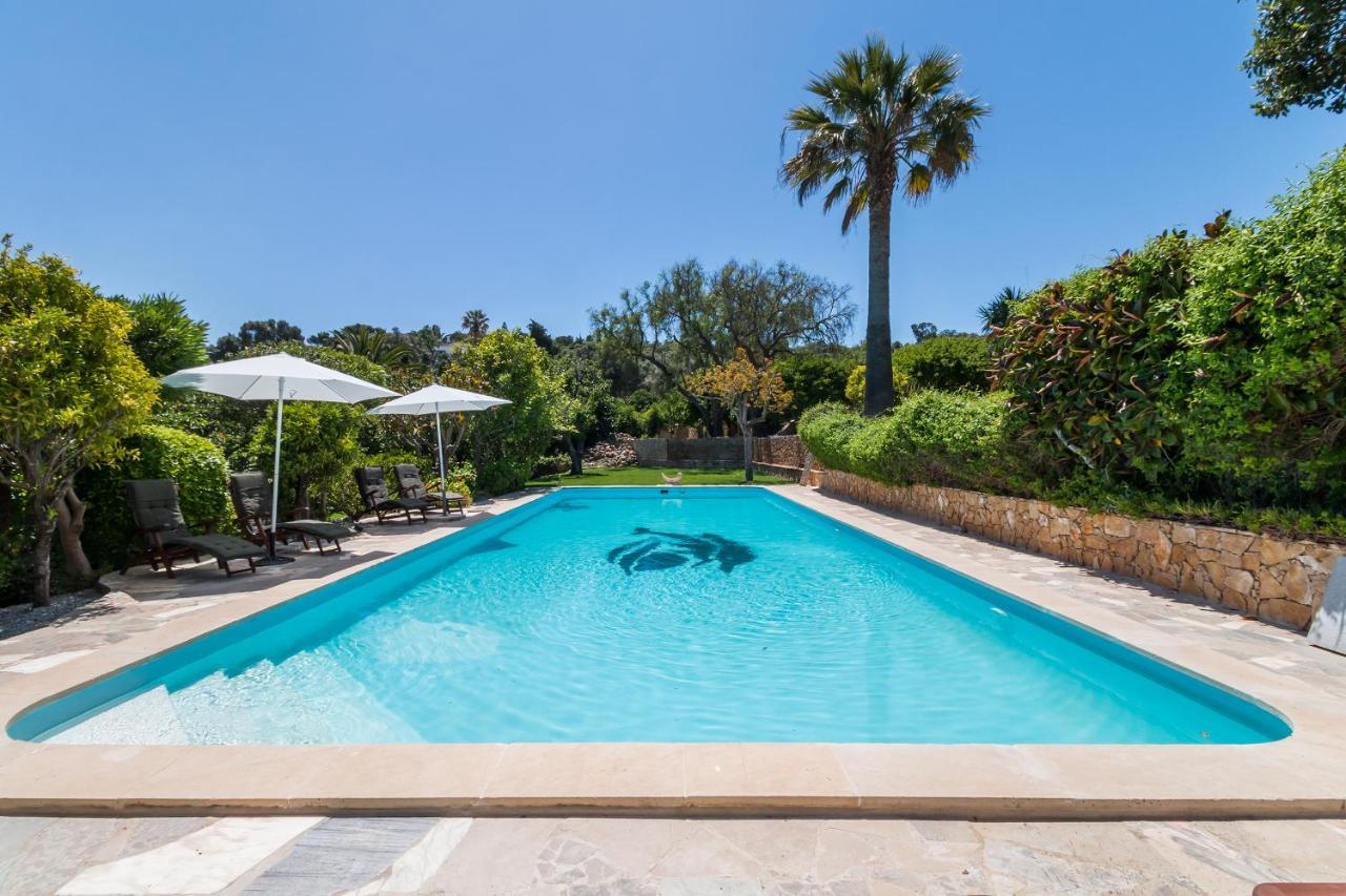 Quinta Das Portelas Apartment ลากอส ภายนอก รูปภาพ