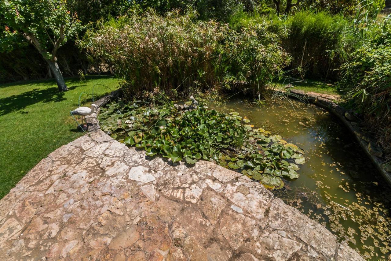 Quinta Das Portelas Apartment ลากอส ภายนอก รูปภาพ